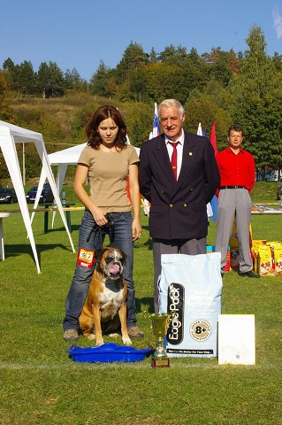 www.boxer-show.eu